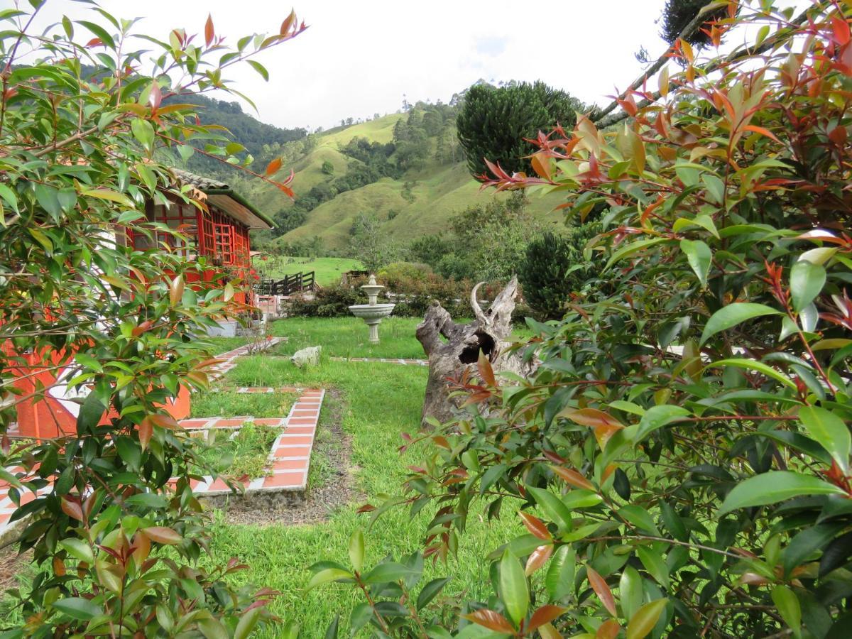 Ecohotel Pinohermoso Reserva Natural Саленто Экстерьер фото
