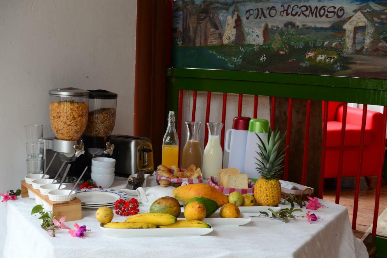 Ecohotel Pinohermoso Reserva Natural Саленто Экстерьер фото